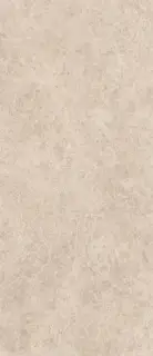 Керамическая плитка ERA DELIC. TAUPE NAT R120X280