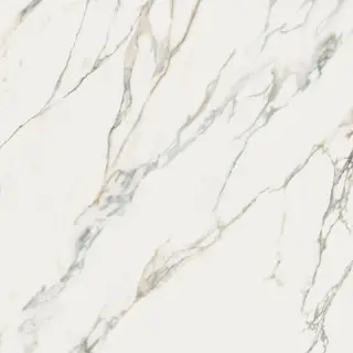 Керамогранит SNS.SIGN.CALACATTA MICHELANGELO LUX RET 120X120