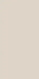 Керамогранит LE MALTE BEIGE GREY RT SP.6 60x120