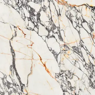 Керамогранит SPR.TREAS.CORCHIA GOLD LUX R 120X120
