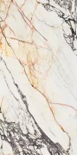 Керамогранит  SPR.TREAS.CORCHIA GOLD NAT R 60X120
