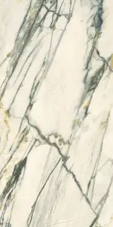 Керамогранит  SPR.TREAS.CALACATTA EM. LUX R 60X120