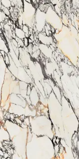 Керамогранит  SPR.TREAS.CORCHIA GOLD LUX R 60X120