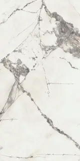 Керамогранит SUPREME EVO INVISIBLE SELECT R