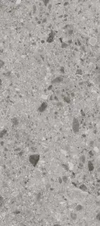 Керамогранит Janye Slab Stone Terrazzo Light Grey Str SG27017 120x270