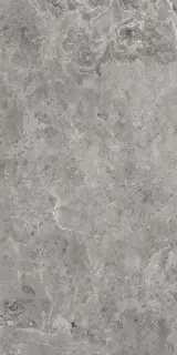 ES.ERDING GREY LUXGLASS 60x120