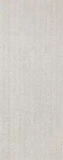 Noir Caliza Spiga 45x120