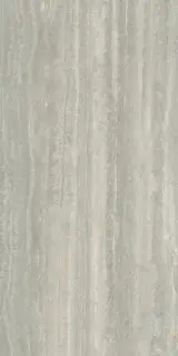 ICONICA SILVER VERSO 60X120