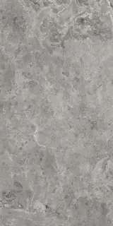 Керамогранит Pamesa Es.Erding Grey Luxglass 050.869.0161.00714 60x120