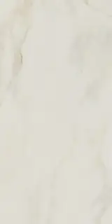 SUPREME MARBLE SOFT RECT 60X120