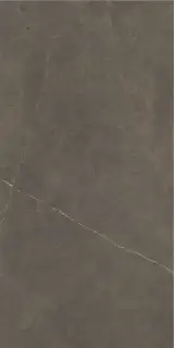 NORTHON TAUPE 60X120 PULIDO