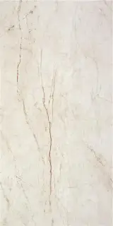 RAIN FOREST WHITE ( PULIDO) 59X119 RECT.