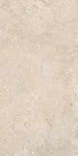 ELBA TAUPE 60X120 REC.