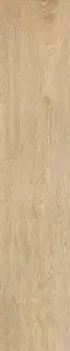 Керамогранит STN Ceramica Tacora Beige Mt Rect 110-013-1 23x120