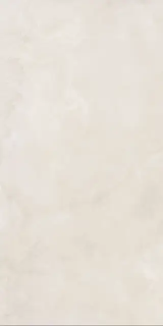 ANIMA EVER Royal Onyx Matt R10B 60X120
