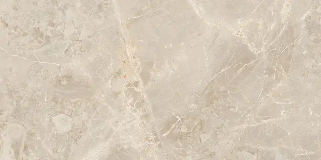 SUVEYA BRECCIA 60X120