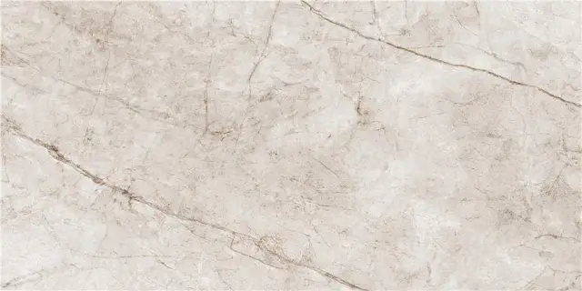 RAIN FOREST WHITE PULIDO 59X119