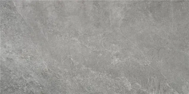 INDIC GREY MT 60X120 NANOTECH