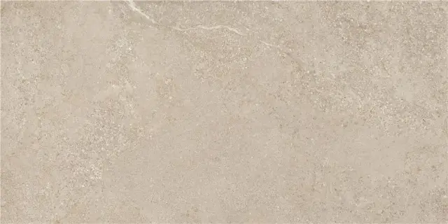 ARENITE NATURAL MT 60X120