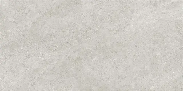 ARENITE PEARL MT 60X120