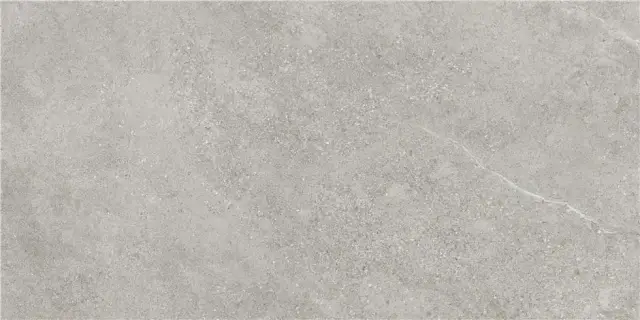 ARENITE GREY MT 60X120