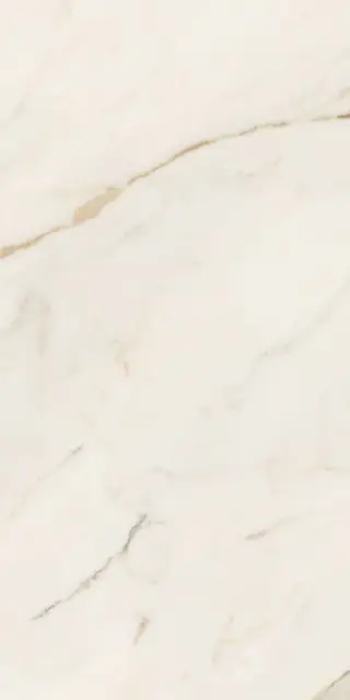 ANIMA FUTURA GOLDEN WHITE 60X120 LISCIO MATT