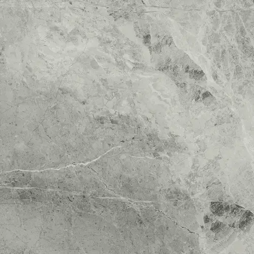Charme Extra Silver Nat 60x60
