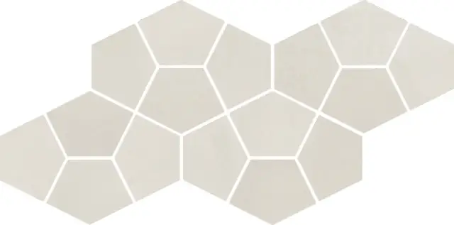 Continuum Polar Mosaico Prism 41.3x20.5