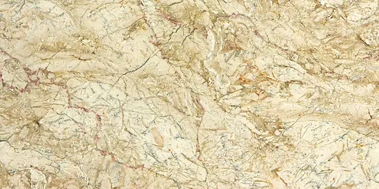 Desert Gold 30x60
