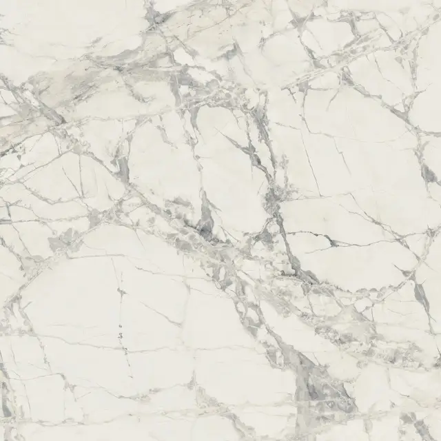 Prexious Rex Mountain Treasure Glo 60x60
