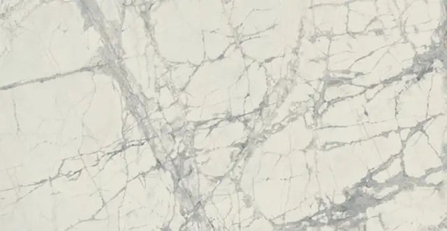 Prexious Rex Mountain Treasure Glossy 60x120