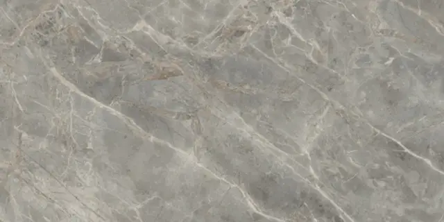 Etoile Gris Glossy 60x120
