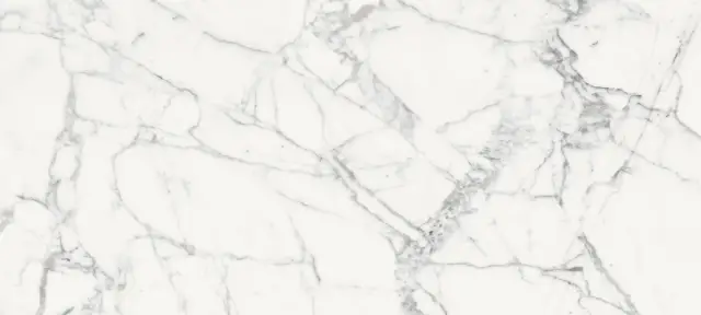 Origines De Rex Blanche Glossy 80x180