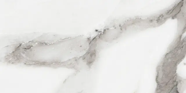 Origines De Rex Argent Matte 30x60