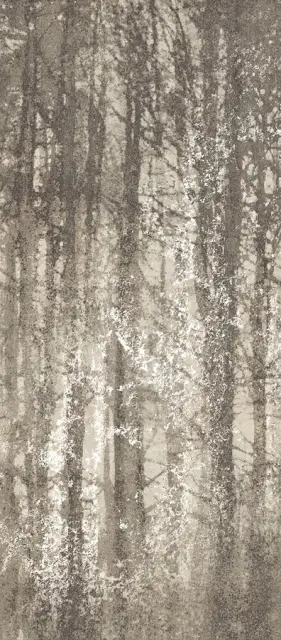 Ylico Wood Fog 120x278