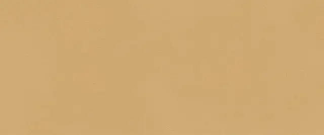 True Color Caramel Matt 50x120