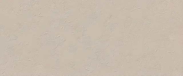 True Color Wind Fossil Matt 50x120