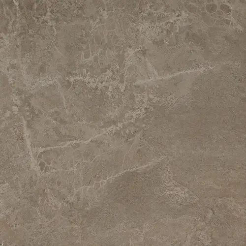Force Grey 60x60