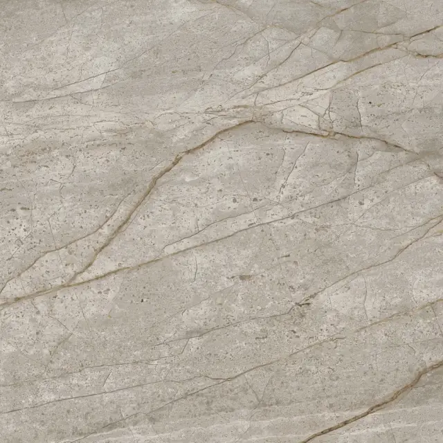 Empire Silver Root 60x60