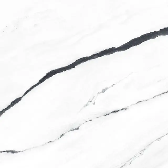 Forte Dei Marmi Panda White Polished 80x80