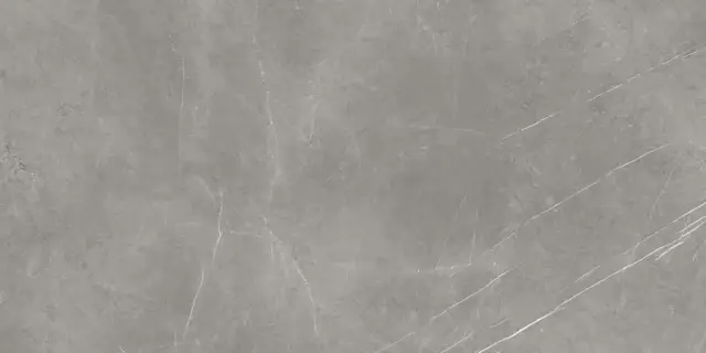 Forte Dei Marmi Elegant Grey Polished 80x160