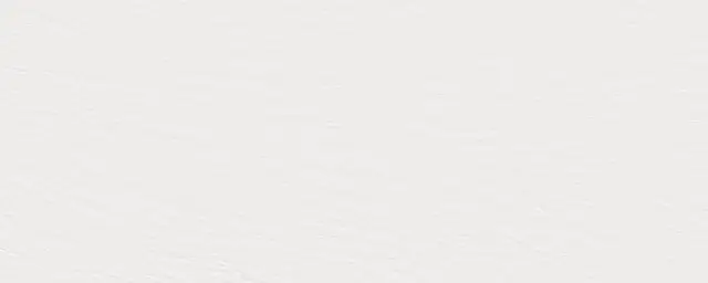 Ardesia Bianco A Spacco 5.6 Mm 120x300