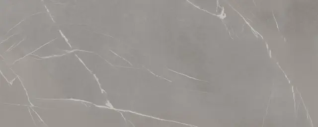 In Side Pietra Piasentina Grigio Fiammato 5.6 Mm 120x300