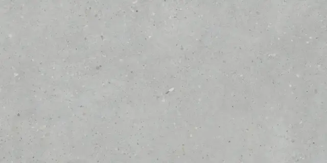 Flakecement Серый Матовый R10a 60x120