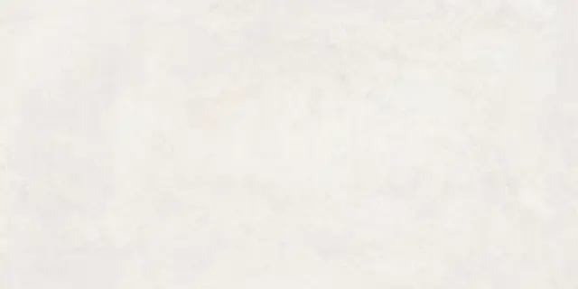 Cementbase Белый Матовый R10a 60x120