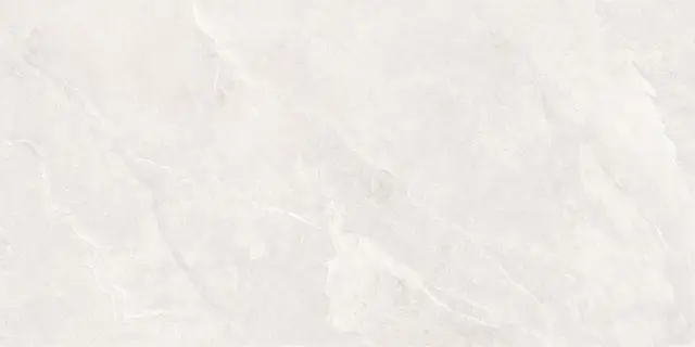 Ardestone Белый Матовый R10a 60x120