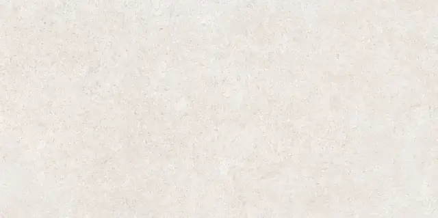 Sandstone Белый Матовый R10a 60x120