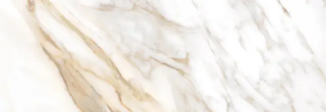 Calacatta Oro 24.2x70