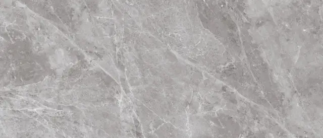 Belgium Grey Polished 120x280