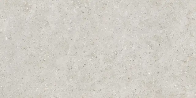 Beren Light Grey Ductile Soft 60x120
